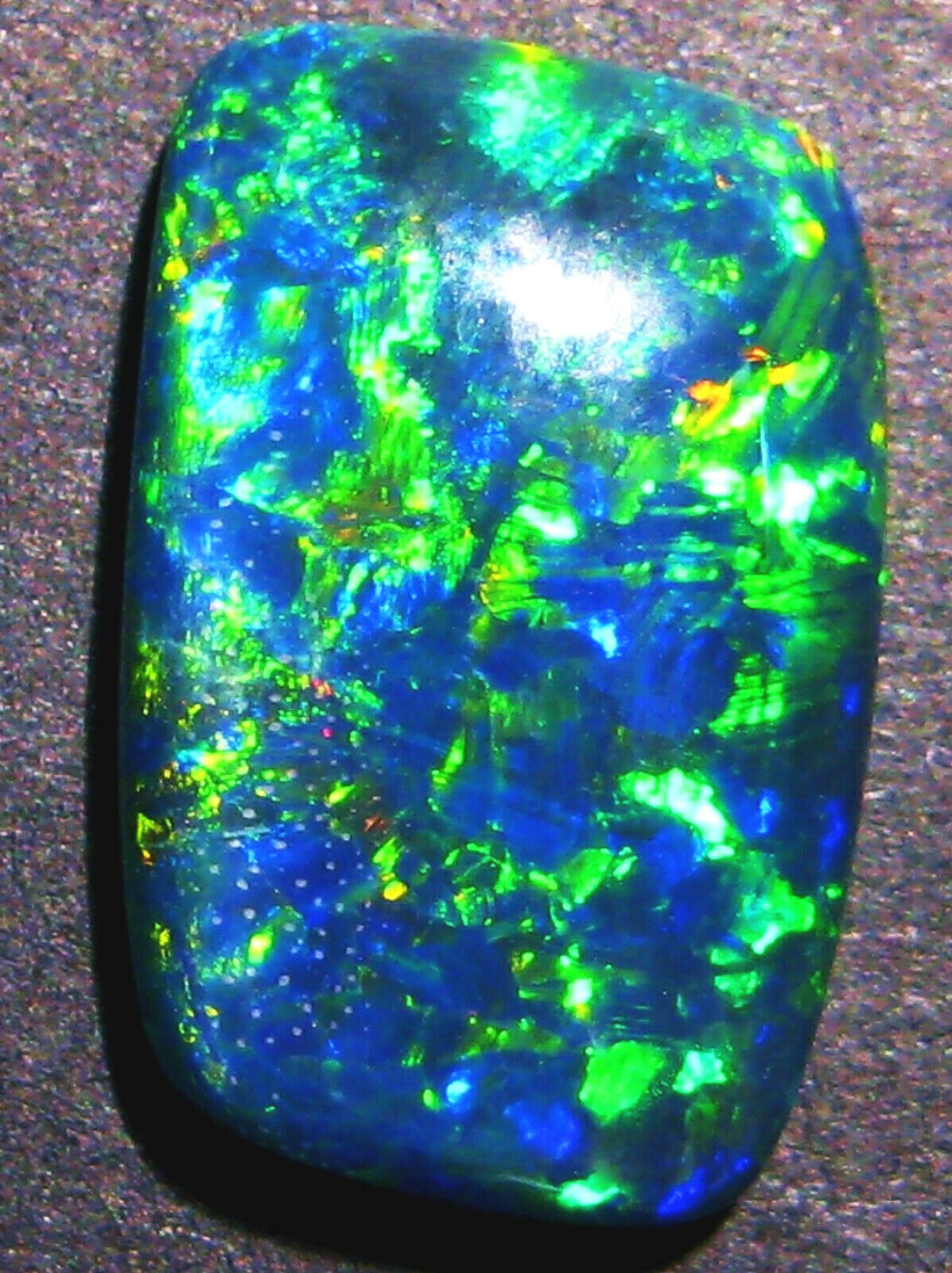 Australian Opal Triplet Natural Brilliant Super Gem Grade 17x11mm (1621)